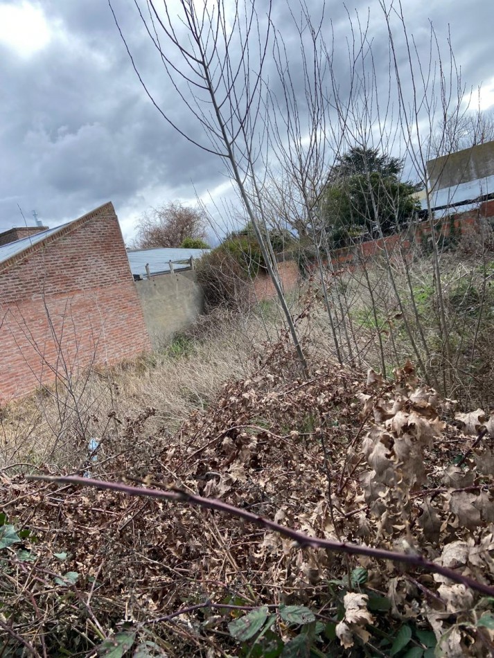 Venta Lote en Barrio Caisamar