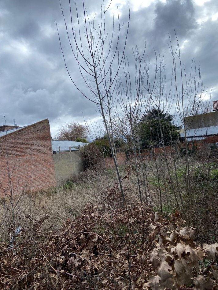 Venta Lote en Barrio Caisamar
