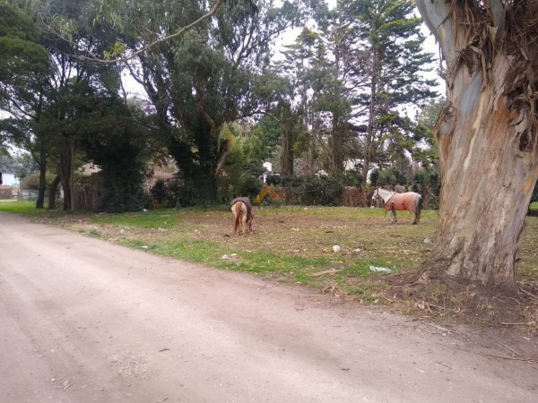 VENTA Lote a 400 mts del mar, Playa Dorada