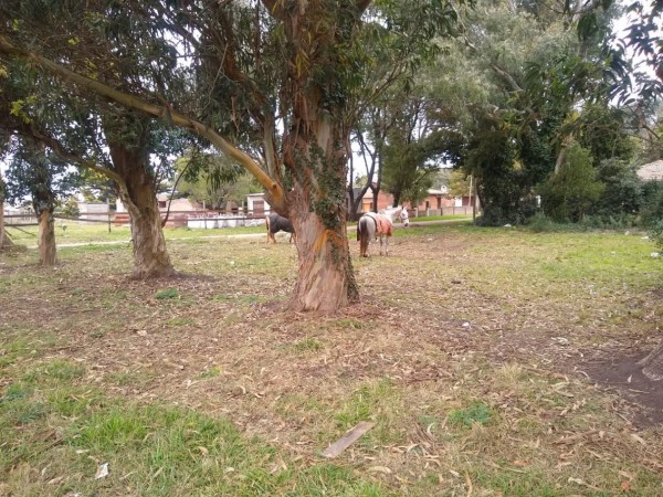 VENTA Lote a 400 mts del mar, Playa Dorada