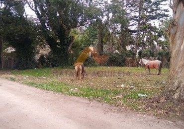 VENTA Lote a 400 mts del mar, Playa Dorada